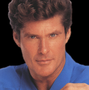 hasselhoff.gif (48453 bytes)