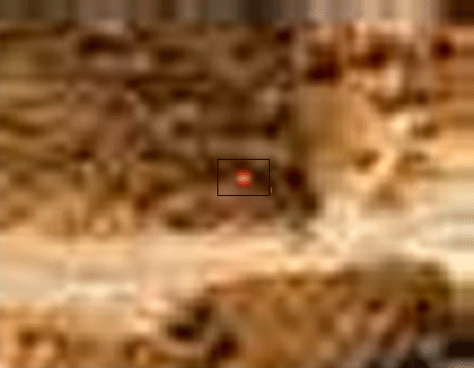 mars-rocks close-up1.gif (91653 bytes)